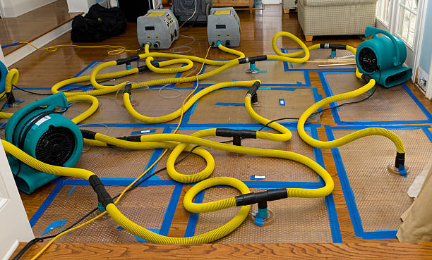 Professional Crawl Space Water Removal technician working in Central, AZ
